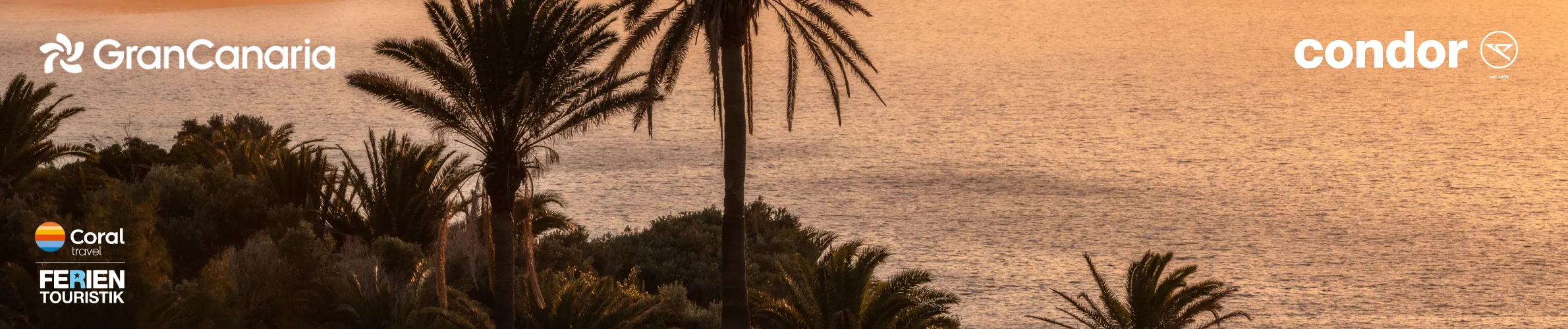 Palmen im Vordergrund mit Meer im Hintergrund bei Sonnenuntergang