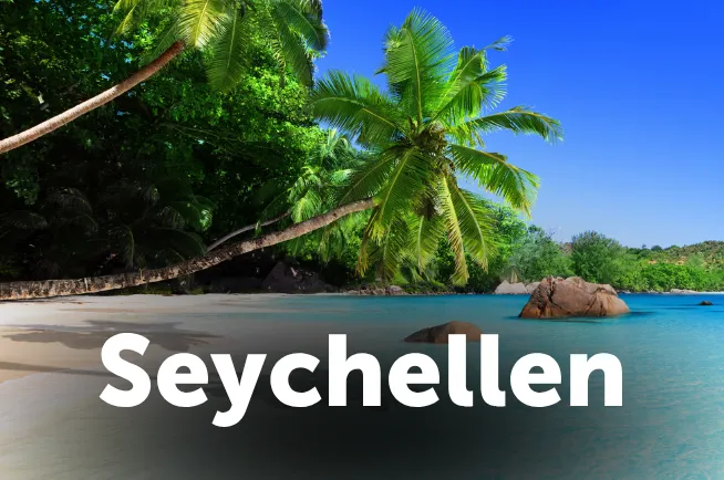 Strand mit Palmen auf den Seychellen