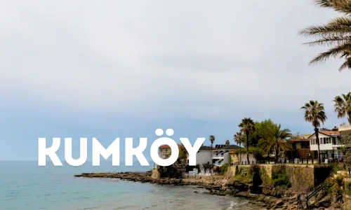 Küste von Kumköy mit Palmen