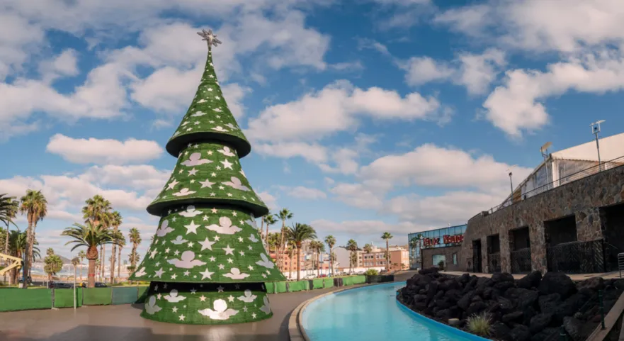 Weihnachtsbaum auf Gran Canaria