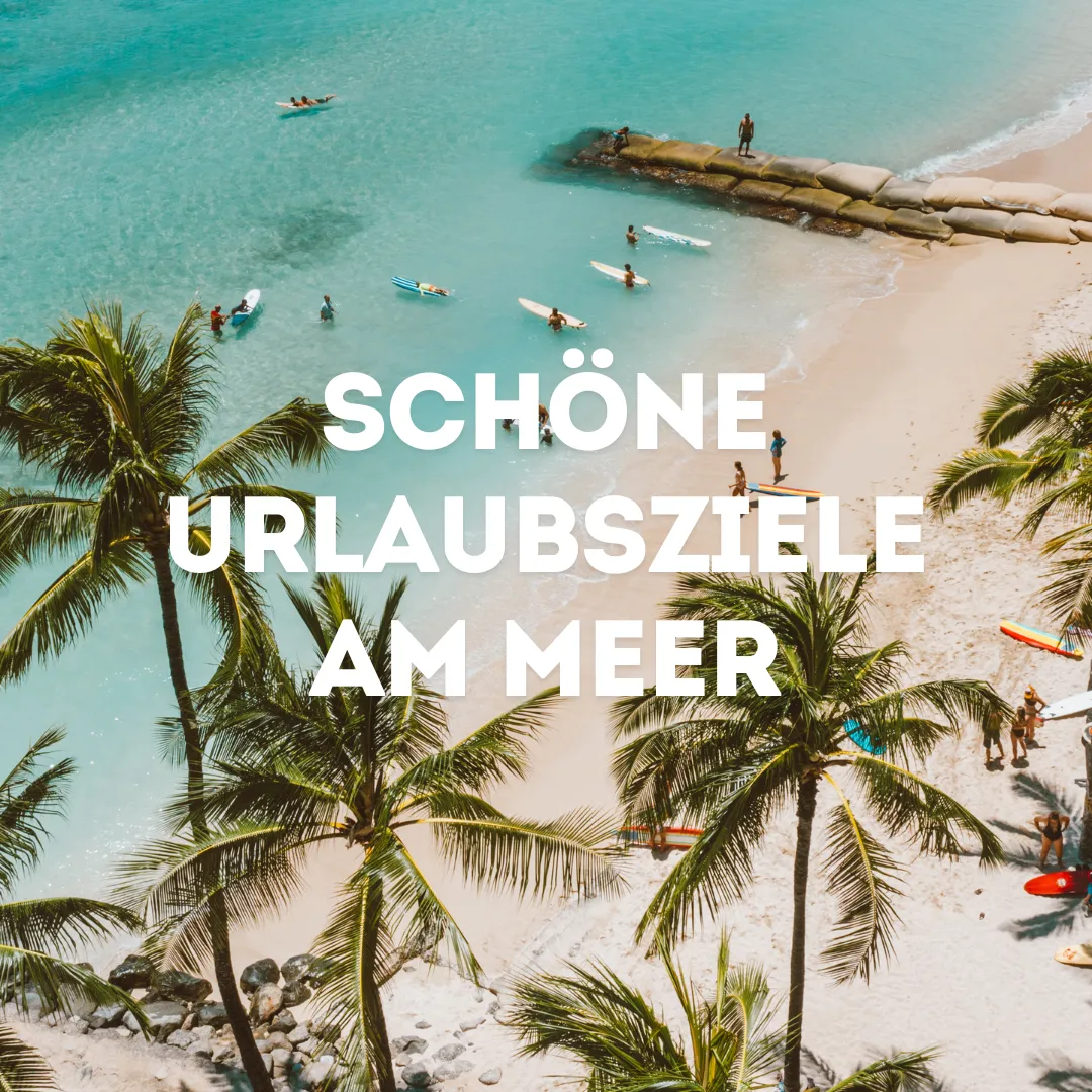 Ein Strand mit sehr hellem Wasser und hohen Palmen im Vordergrund